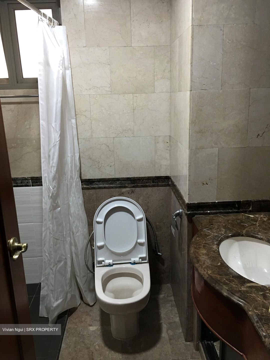 Parc Vista (D22), Condominium #610530731